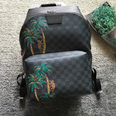 Louis Vuitton  Apollo Back Pack,37cm - 루이비통 아폴로 남여공용 백팩 N50003,LOUB0028,37cm