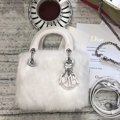 Dior 2019 Mini Lady Tote Shoulder Bag,17CM - 디올 2019 미니 레이디 토트 숄더백 DIOB0079,17CM,화이트(은장)