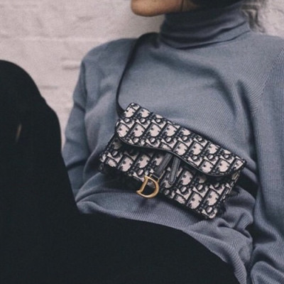 Dior 2019 Oblique Saddle Belt Bag ,18.5CM - 디올 2019 오블리크 새들 벨트백,DIOB0091,18.5CM,블랙