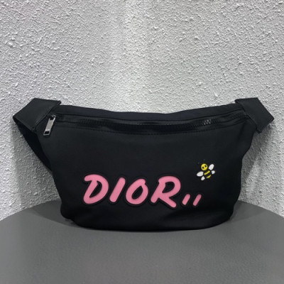 Dior x Kaws 2019 Canvas & Leather Belt Bag,23cm - 디올x카우스 2019 캔버스&레더 남여공용 벨트백,DIOB0302,23cm,블랙(핑크)