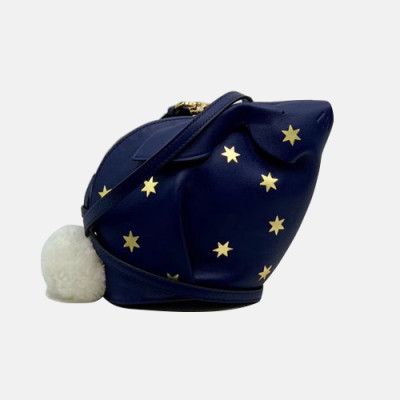 Loewe Bunny Stars Mini Cross Bag,17CM - 로에베 버니 스타 미니 크로스백 ,LOEB0002 ,17CM, 블루