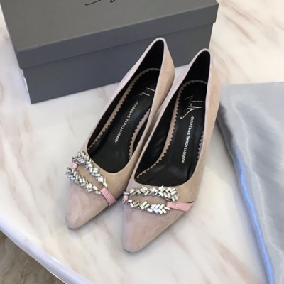 Giuseppe Zanoti 2019 Ladies Suede Pumps Middle Heel - 쥬세페자노티 2019 여성용 스웨이드 펌프스 미들힐 ,GZS0001.Size(220 - 250).베이지그레이