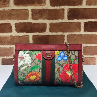 Gucci 2019 Ophidia Women Chain Shoulder Bag ,26CM - 구찌 2019 오피디아  여성용 체인 숄더백 ,503877,GUB0867,26CM,레드