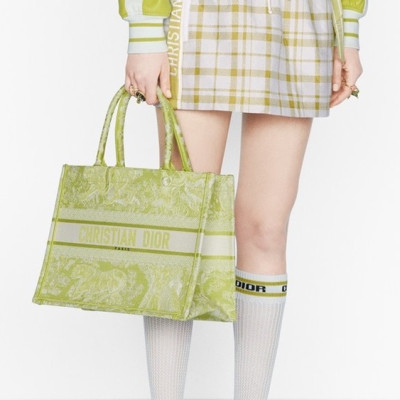 디올 여성 그린 북토트 - Womens Green Book Tote - dio01820x