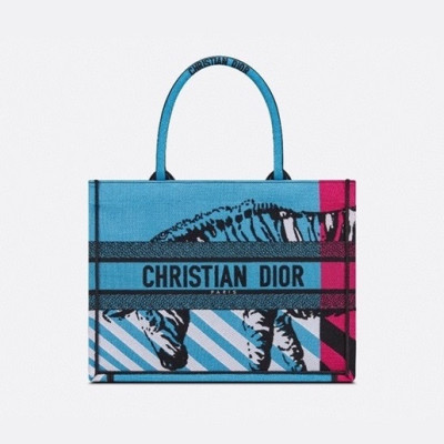 디올 여성 블루 북토트 - Womens Blue Book Tote - dio02065x