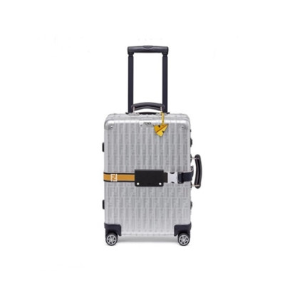 펜디 x 리모와 컬렉션 캐리어 - Fendi x Rimowa Silver Carrier - ric119x